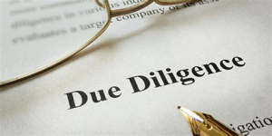 Due Diligence Investigations